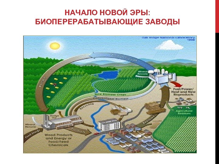 НАЧАЛО НОВОЙ ЭРЫ: БИОПЕРЕРАБАТЫВАЮЩИЕ ЗАВОДЫ 
