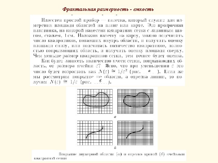 Фрактальная размерность изображения