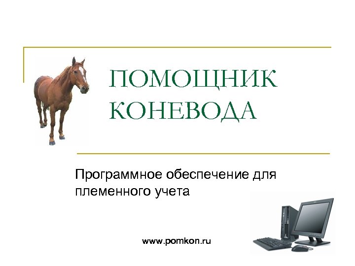 ПОМОЩНИК КОНЕВОДА Программное обеспечение для племенного учета www. pomkon. ru 