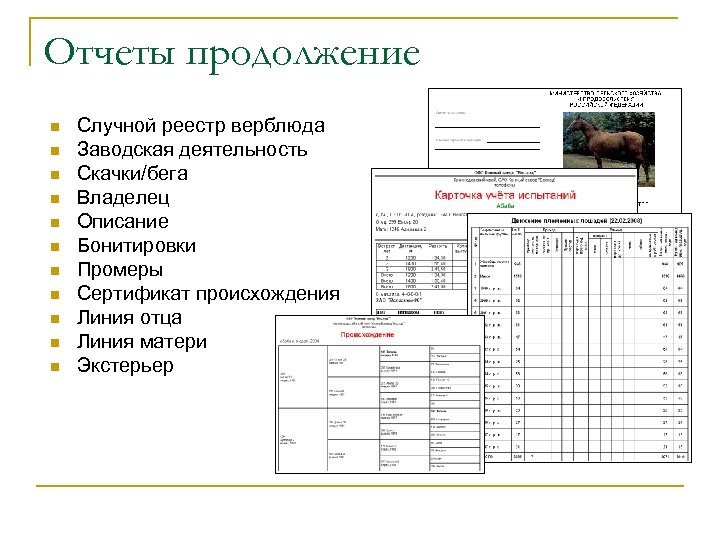 Отчеты продолжение n n n Случной реестр верблюда Заводская деятельность Скачки/бега Владелец Описание Бонитировки