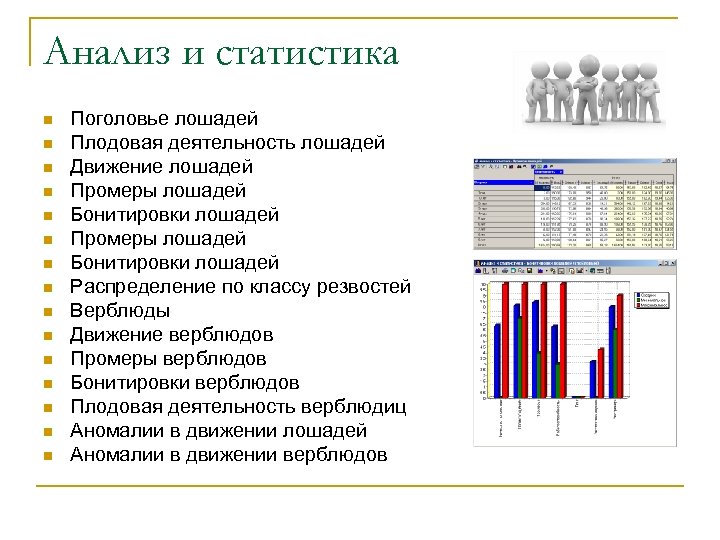 Анализ и статистика n n n n Поголовье лошадей Плодовая деятельность лошадей Движение лошадей