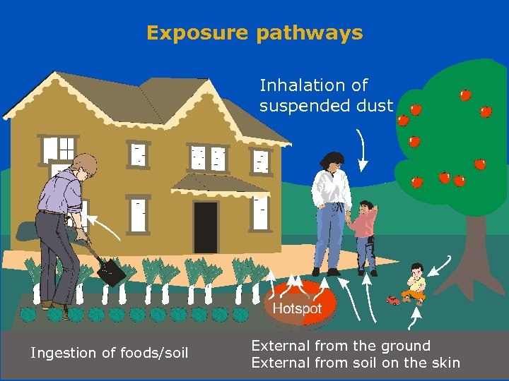 Exposure pathways Inhalation of suspended dust External from the ground Working in partnership with