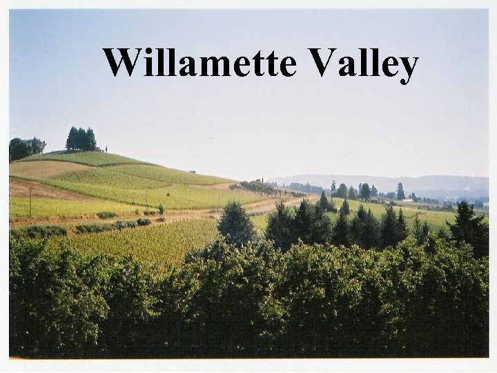 Willamette Valley 