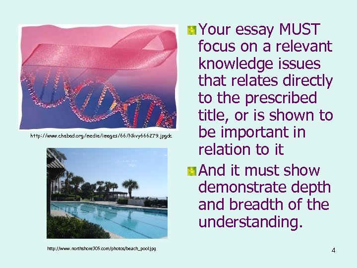 http: //www. chabad. org/media/images/66/Nkvy 666279. jpgdc http: //www. northshore 305. com/photos/beach_pool. jpg Your essay