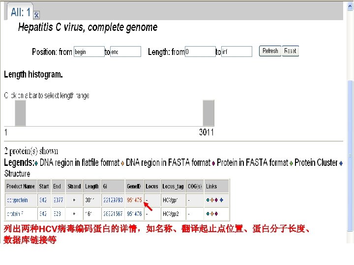 列出两种HCV病毒编码蛋白的详情，如名称、翻译起止点位置、蛋白分子长度、 数据库链接等 