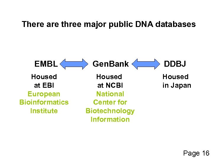 There are three major public DNA databases EMBL Housed at EBI European Bioinformatics Institute