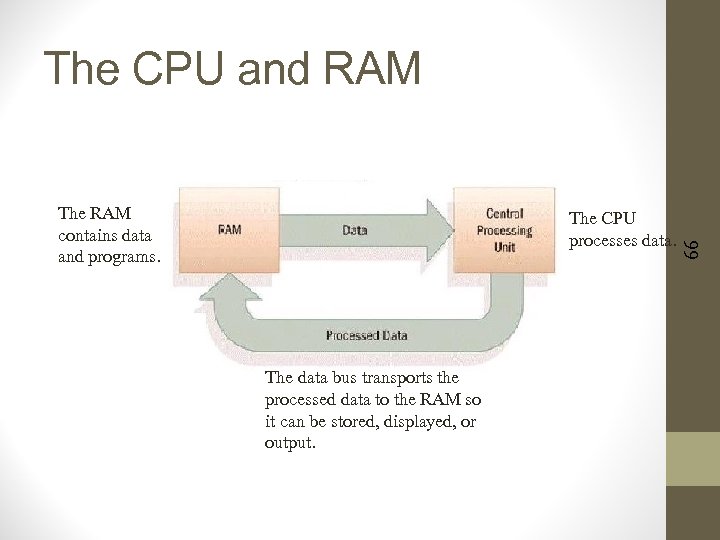 The RAM contains data and programs. The CPU processes data. The data bus transports