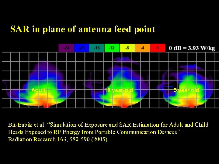 SAR in plane of antenna feed point Adult 10 year old 5 year old