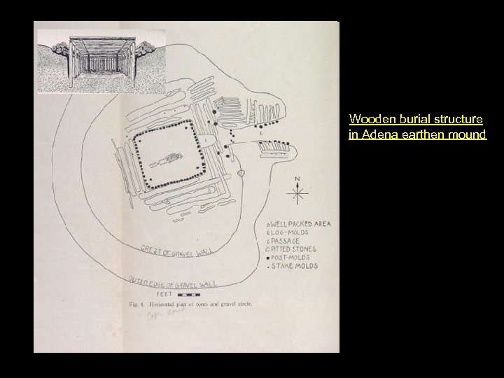 Wooden burial structure in Adena earthen mound 