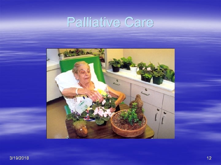 Palliative Care 3/19/2018 12 