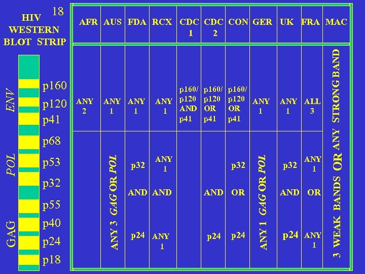 ENV WESTERN BLOT STRIP p 160 p 120 p 41 AFR AUS FDA RCX