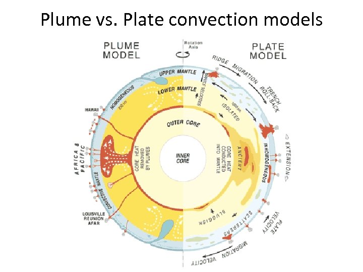 Plume vs. Plate convection models 
