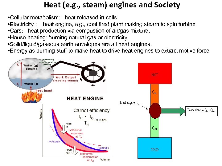 Heat (e. g. , steam) engines and Society • Cellular metabolism: heat released in