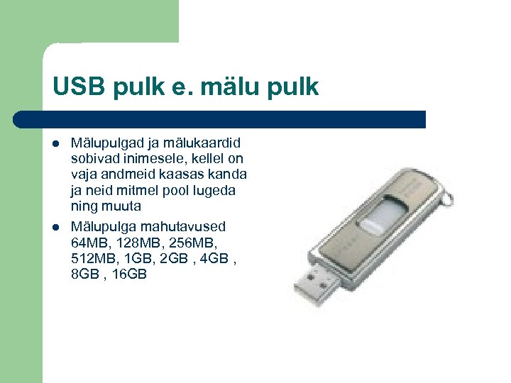 USB pulk e. mälu pulk Mälupulgad ja mälukaardid sobivad inimesele, kellel on vaja andmeid