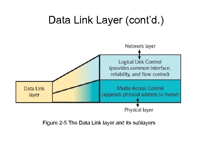 Data Link Layer (cont’d. ) Figure 2 -5 The Data Link layer and its