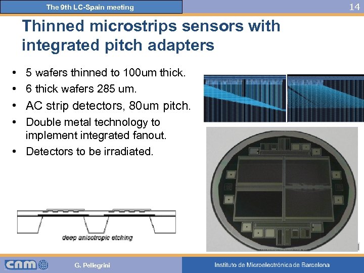 The 9 th LC-Spain meeting Thinned microstrips sensors with integrated pitch adapters • 5