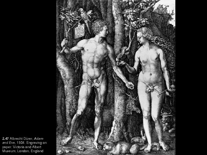 2. 47 Albrecht Dürer, Adam and Eve, 1504. Engraving on paper. Victoria and Albert