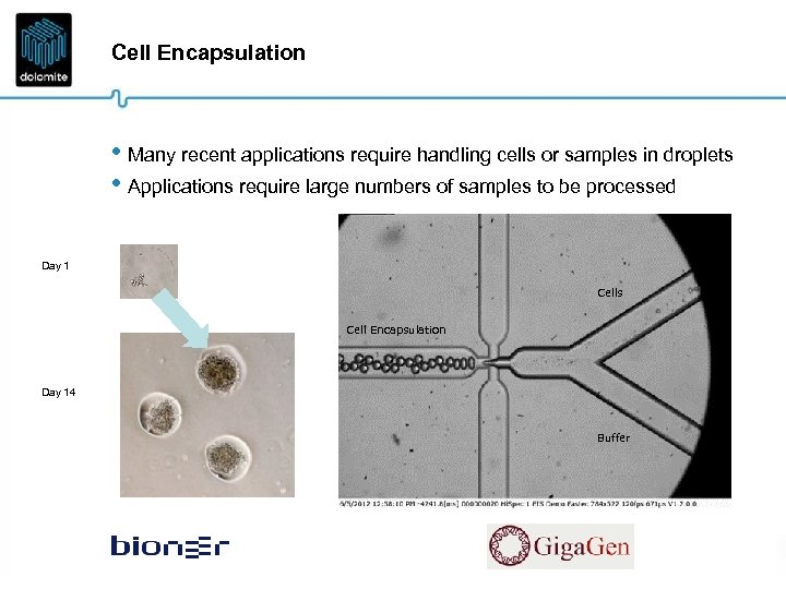 Cell Encapsulation • Many recent applications require handling cells or samples in droplets •