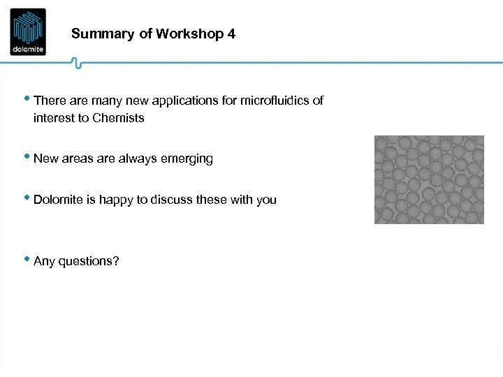 Summary of Workshop 4 • There are many new applications for microfluidics of interest