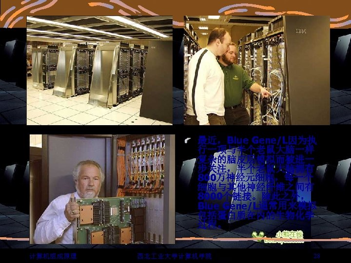 最近，Blue Gene/L因为执 行一项与半个老鼠大脑一样 复杂的脑皮层模拟而被进一 步关注，半个老鼠大脑拥有 800万神经元细胞，每一个 细胞与其他神经纤维之间有 8000个链接。除此之外， Blue Gene/L通常用来模拟 包括蛋白质在内的生物化学 过程。 计算机组成原理 西北