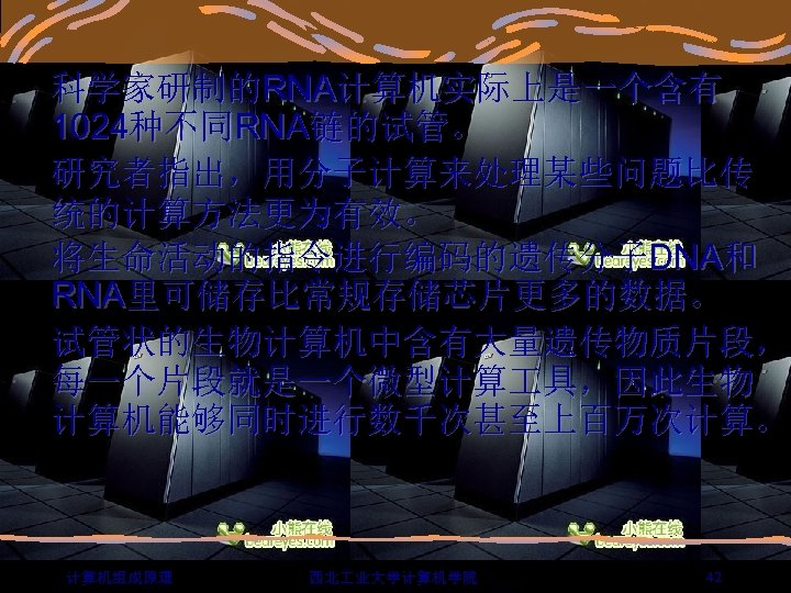 科学家研制的RNA计算机实际上是一个含有 1024种不同RNA链的试管。 研究者指出，用分子计算来处理某些问题比传 统的计算方法更为有效。 将生命活动的指令进行编码的遗传分子DNA和 RNA里可储存比常规存储芯片更多的数据。 试管状的生物计算机中含有大量遗传物质片段， 每一个片段就是一个微型计算 具，因此生物 计算机能够同时进行数千次甚至上百万次计算。 计算机组成原理 西北 业大学计算机学院 42