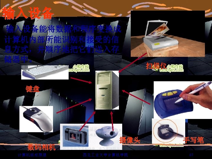 输入设备能将数据和程序变换成 计算机内部所能识别和接受的信 息方式，并顺序地把它们送入存 储器中。 扫描仪 键盘 数码相机 计算机组成原理 摄像头 西北 业大学计算机学院 手写笔 65 