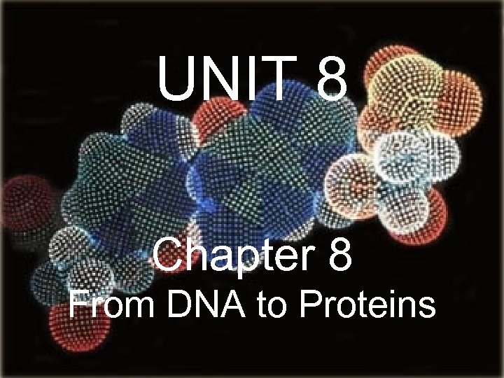 Unit 8 Chapter 8 From Dna To