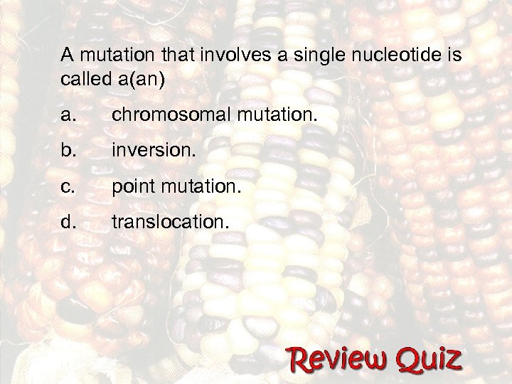 A mutation that involves a single nucleotide is called a(an) a. chromosomal mutation. b.