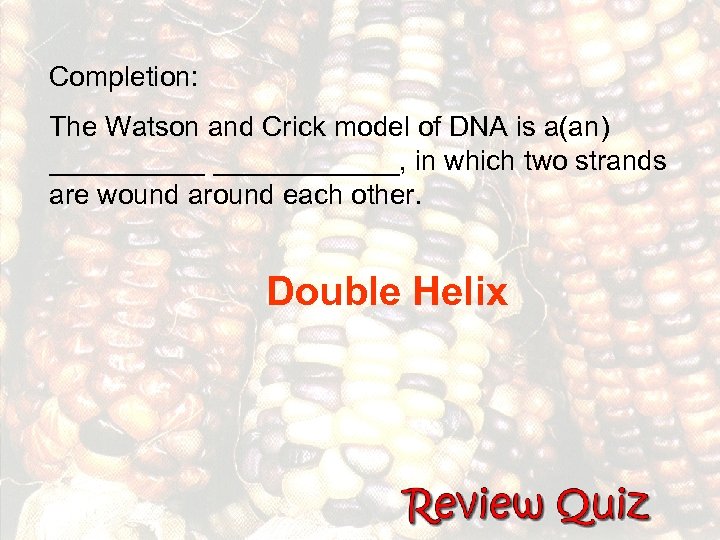 Completion: The Watson and Crick model of DNA is a(an) ____________, in which two