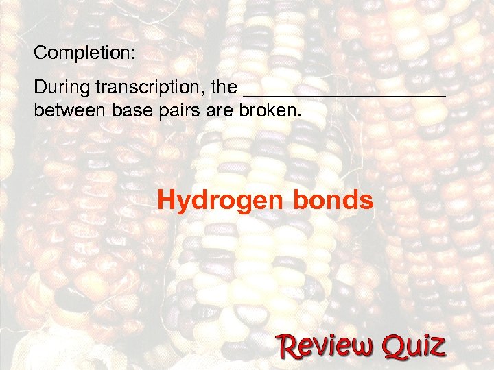 Completion: During transcription, the __________ between base pairs are broken. Hydrogen bonds 