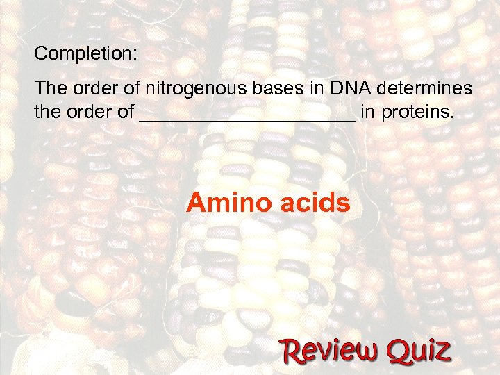 Completion: The order of nitrogenous bases in DNA determines the order of __________ in