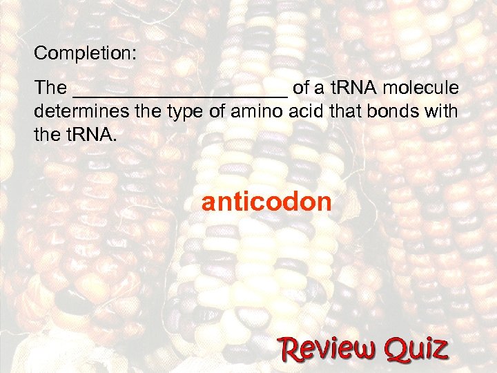 Completion: The __________ of a t. RNA molecule determines the type of amino acid