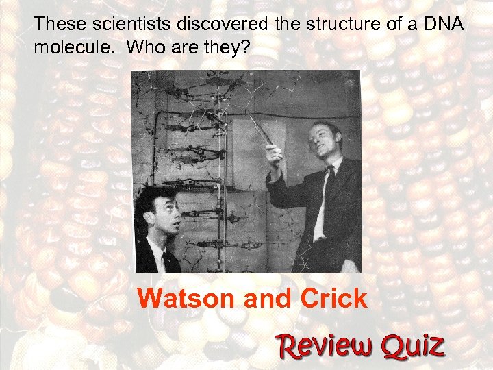 These scientists discovered the structure of a DNA molecule. Who are they? Watson and