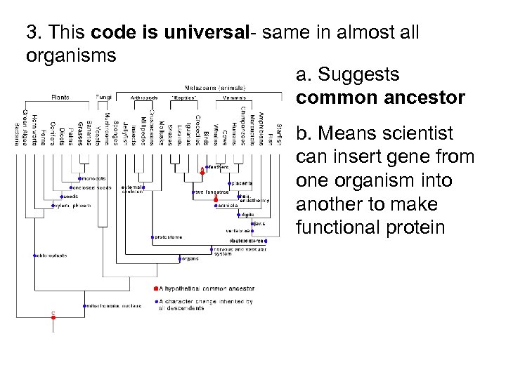 3. This code is universal- same in almost all organisms a. Suggests common ancestor