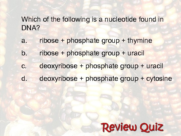 Which of the following is a nucleotide found in DNA? a. ribose + phosphate