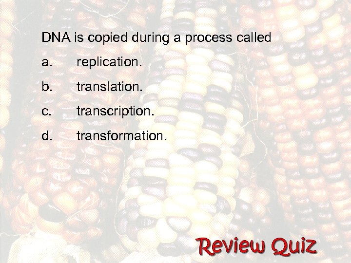 DNA is copied during a process called a. replication. b. translation. c. transcription. d.