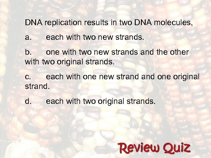 DNA replication results in two DNA molecules, a. each with two new strands. b.