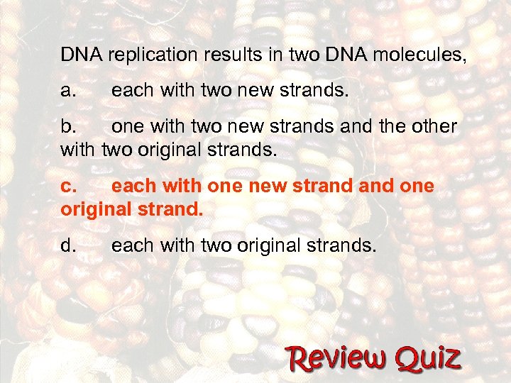 DNA replication results in two DNA molecules, a. each with two new strands. b.