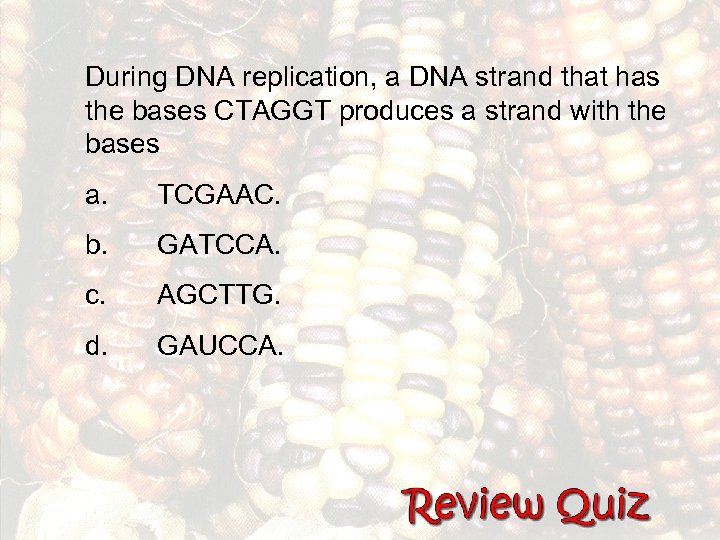 During DNA replication, a DNA strand that has the bases CTAGGT produces a strand