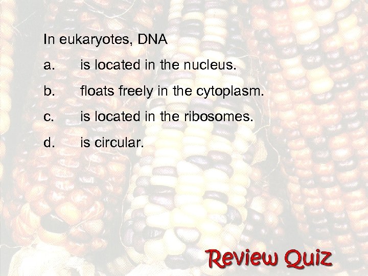 In eukaryotes, DNA a. is located in the nucleus. b. floats freely in the