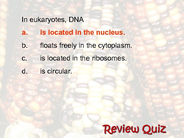 In eukaryotes, DNA a. is located in the nucleus. b. floats freely in the