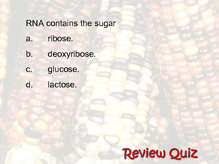 RNA contains the sugar a. ribose. b. deoxyribose. c. glucose. d. lactose. 