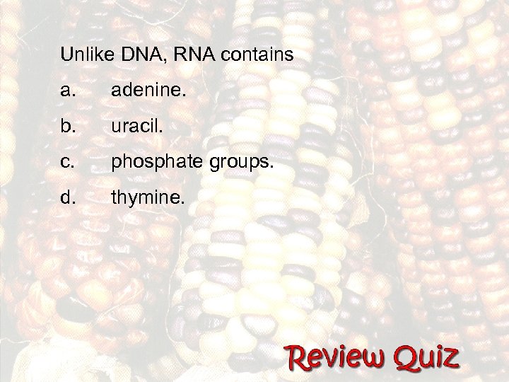 Unlike DNA, RNA contains a. adenine. b. uracil. c. phosphate groups. d. thymine. 