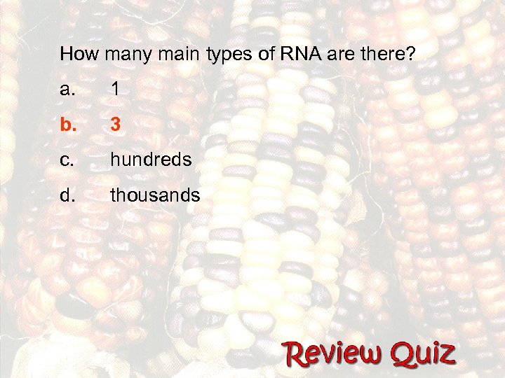 How many main types of RNA are there? a. 1 b. 3 c. hundreds