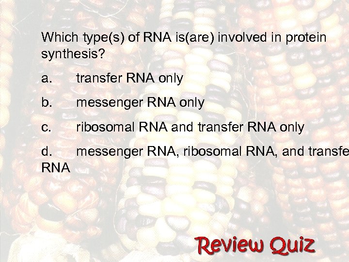 Which type(s) of RNA is(are) involved in protein synthesis? a. transfer RNA only b.