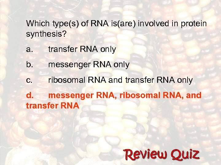 Which type(s) of RNA is(are) involved in protein synthesis? a. transfer RNA only b.