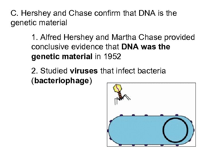 C. Hershey and Chase confirm that DNA is the genetic material 1. Alfred Hershey