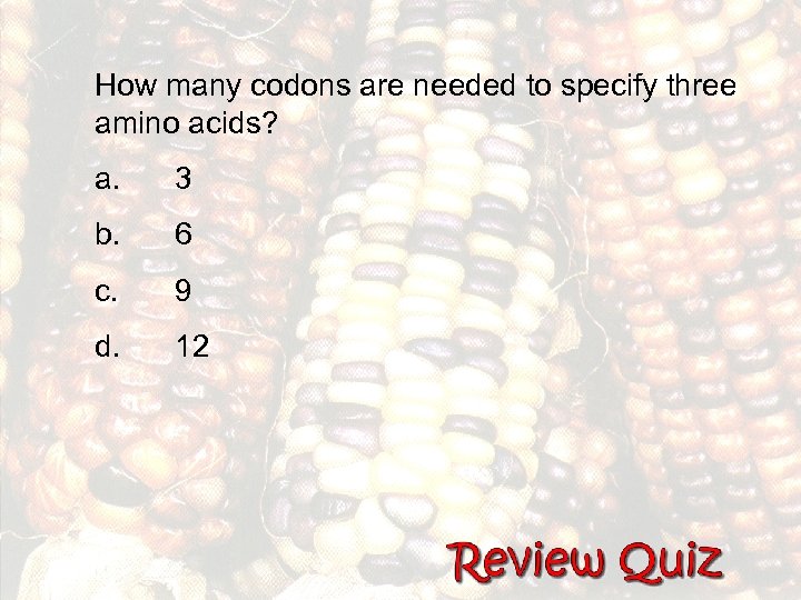 How many codons are needed to specify three amino acids? a. 3 b. 6