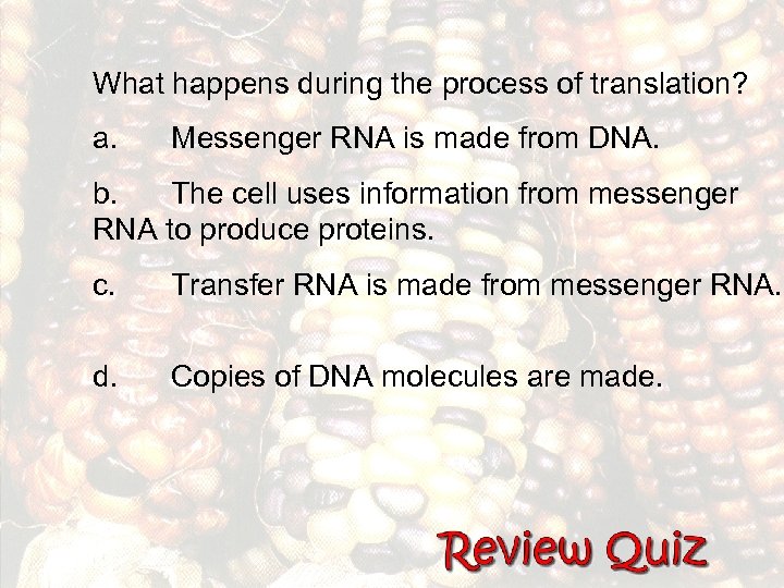 What happens during the process of translation? a. Messenger RNA is made from DNA.