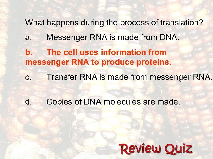 What happens during the process of translation? a. Messenger RNA is made from DNA.